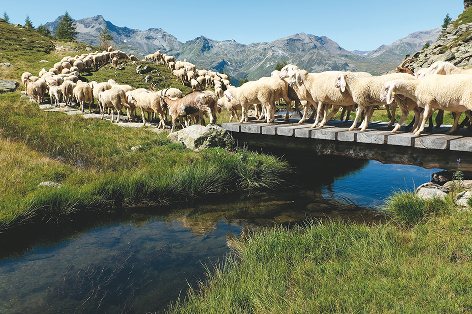 AlpTextyles Community Festival - Intrecci di comunità. Valle Camonica (BS) dal 16 al 18/5/2025